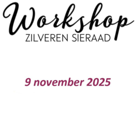 Workshop zondag 9 november 2025 om 13:00 uur