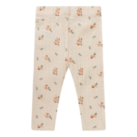 Broek - Daily7