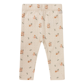 Broek - Daily7