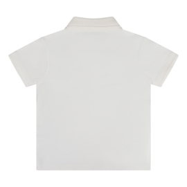 Polo - Daily7
