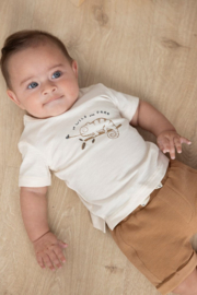 Shirt Chameleon - Feetje