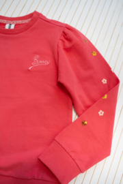 Sweater Scottie - B.Nosy