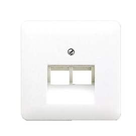 CD500 inzetplaat 2 x outlet RJ45 RAL9010 Alpine wit