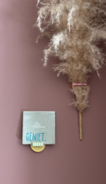 Keramisch tegeltje ‘geniet’ – mintgroen met blauwe opdruk – 10x10 cm