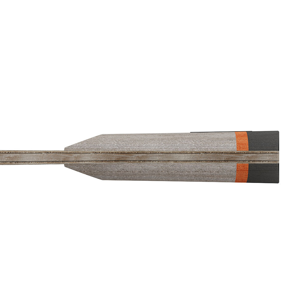 Joola BASEline Carbon