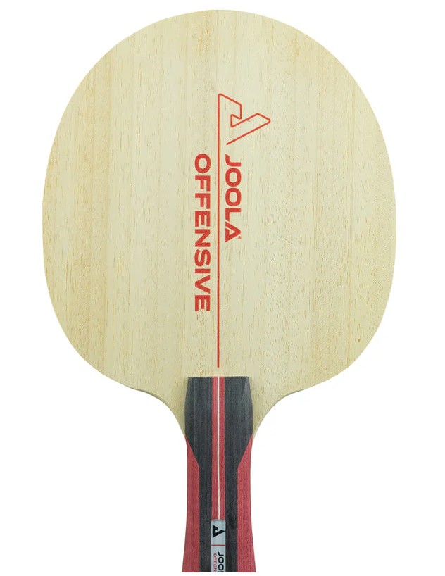 JOOLA Blade J Offense