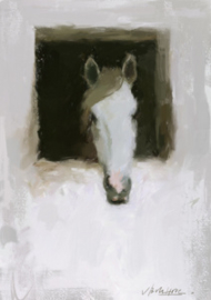 Portret paard