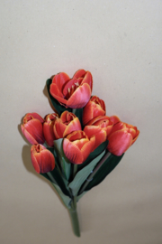 Bosje rode tulpen