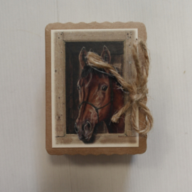 Soap in a box || paard