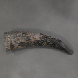 Cow horn raw finish