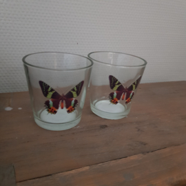 Waxineglas vlinder