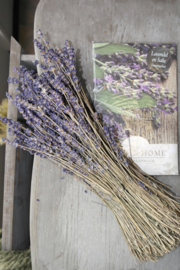 Lavendel & salie
