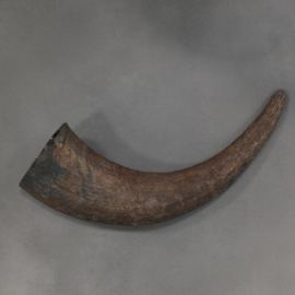 Buffalo horn