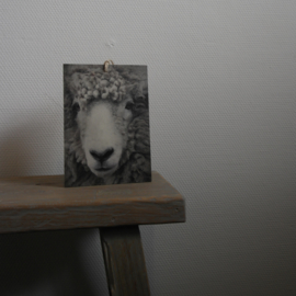 Deco bordje schaap || Met ophanglus