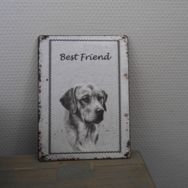 Bordje met hondenkop || best friend