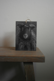 Deco bordje Ram grijs || Met ophanglus