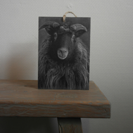 Deco bordje Ram grijs || Met ophanglus