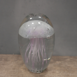 Jelly fish lila