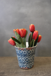 Planter (excl. tulpen)