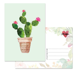 Cactus 1 - kaart