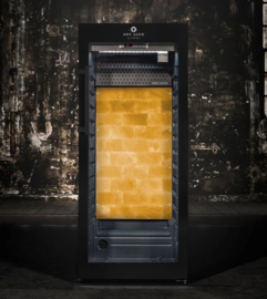 Dry Ager DX1000 Premium S Black met DX-LED Salt Wall