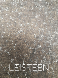 Betonlook Verf | 132. Leisteen
