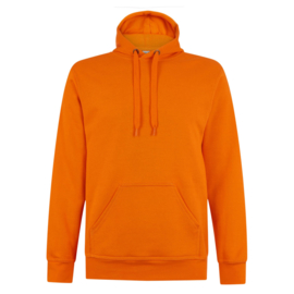 Hoodie alles stom zonder VW