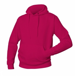 Logostar hoodie