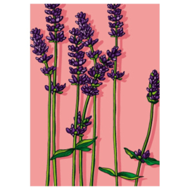 Illi Kaart Lavender