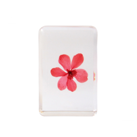 &Klevering Flower Cube