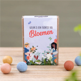 Blossombs Bloembommetjes Een Tuintje Vol Bloemen Gift Box Mini