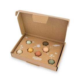 Blossombs Bloembommetjes Lieve Juf Gift Box