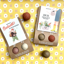 Blossombs Bloembommetjes Lieve Juf