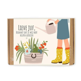 Blossombs Bloembommetjes Lieve Juf Gift Box