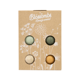 Blossombs Bloembommetjes Hoera Gift Box Mini