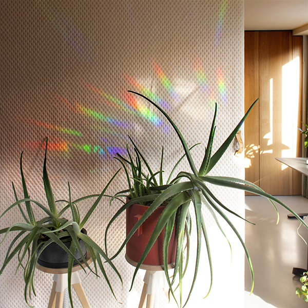 Botanopia Regenboogmaker Sticker