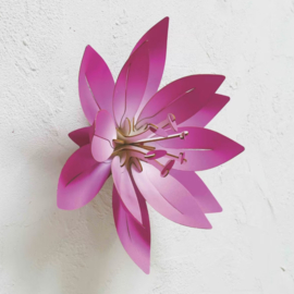Assembli DIY Lotus Muurbloem Fuchsia
