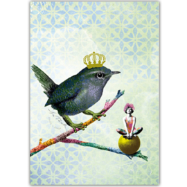 La Tack Kaart Bird King