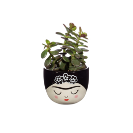 Sass & Belle Pot Frida Mini Zwart Wit