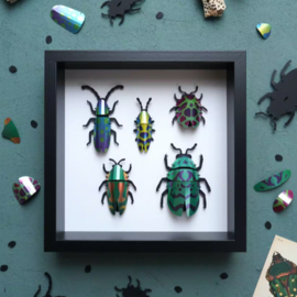 Assembli DIY 3D Kever Set Groen