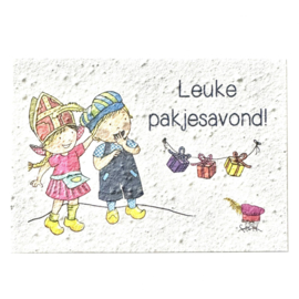 Bloom Your Message Groeikaart Fien & Teun Pakjesavond