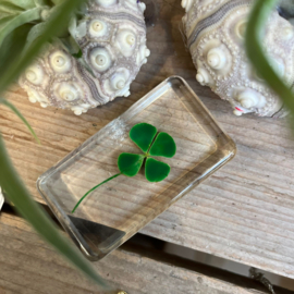 &Klevering Lucky Clover Cube