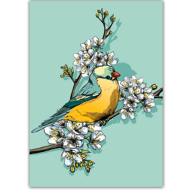 Illi Kaart Blue Bird