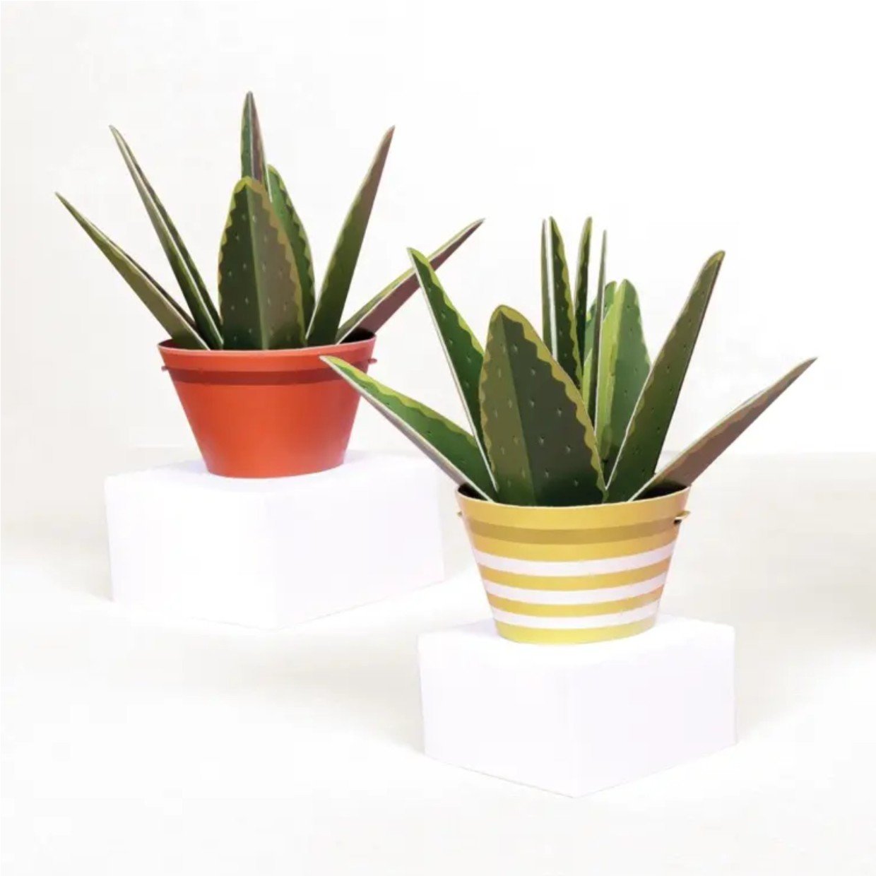 Mini Paper Plant Kit