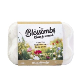 Blossombs Bloembommetjes Eierdoosje Color Your World