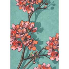 Illi Kaart Flower