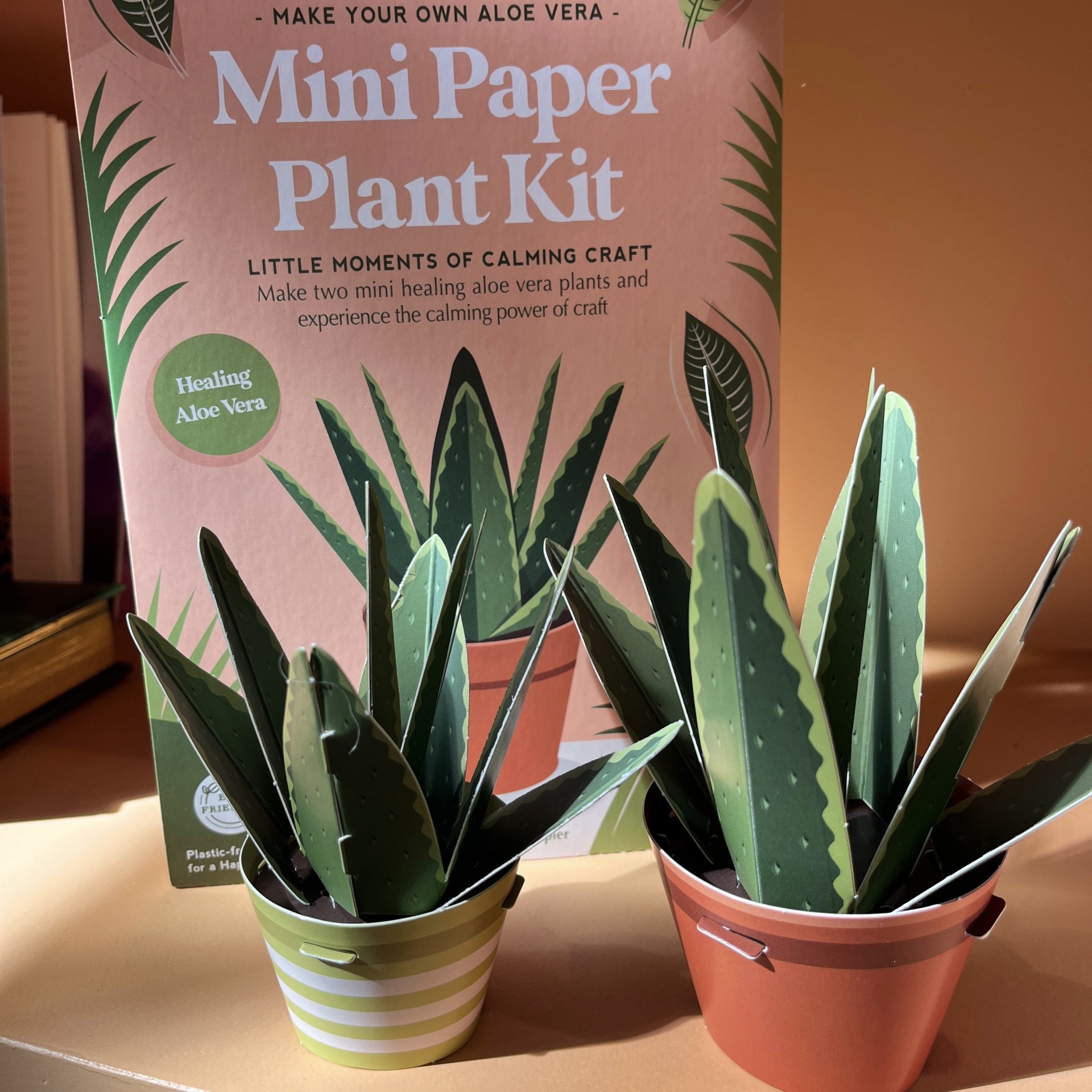 Mini Paper Plant Kit