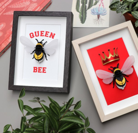 Assembli DIY 3D Hommel