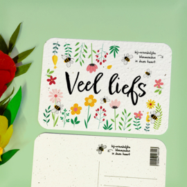 Bloom Your Message Bloeikaart Veel Liefs