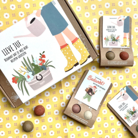 Blossombs Bloembommetjes Lieve Juf Gift Box